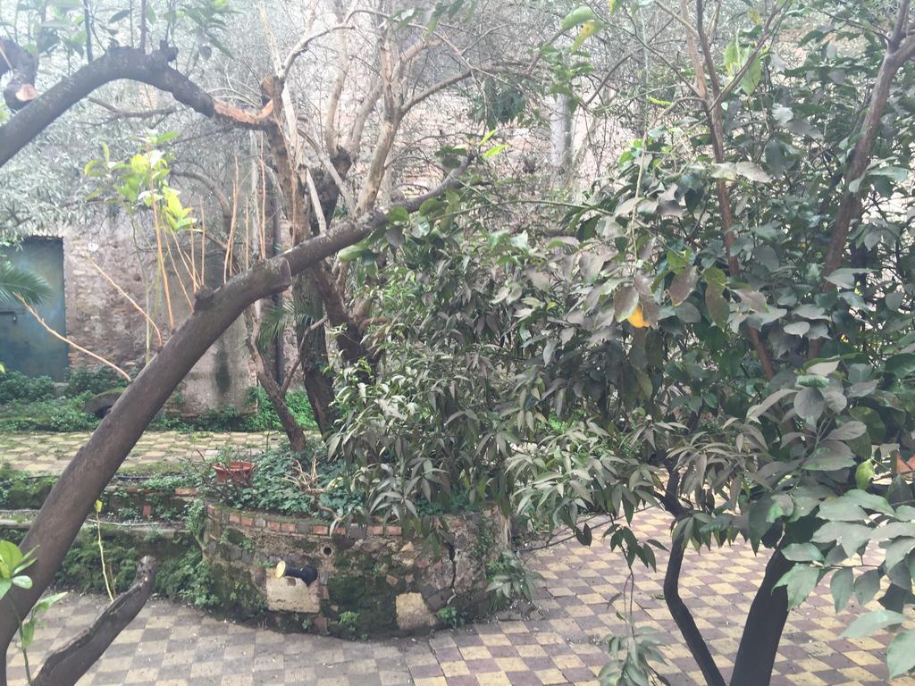 Hotel Domus Aventina Roma
